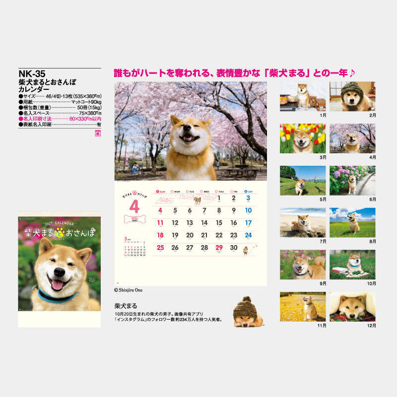 柴犬まるとおさんぽカレンダー　名入れ壁掛けカレンダー