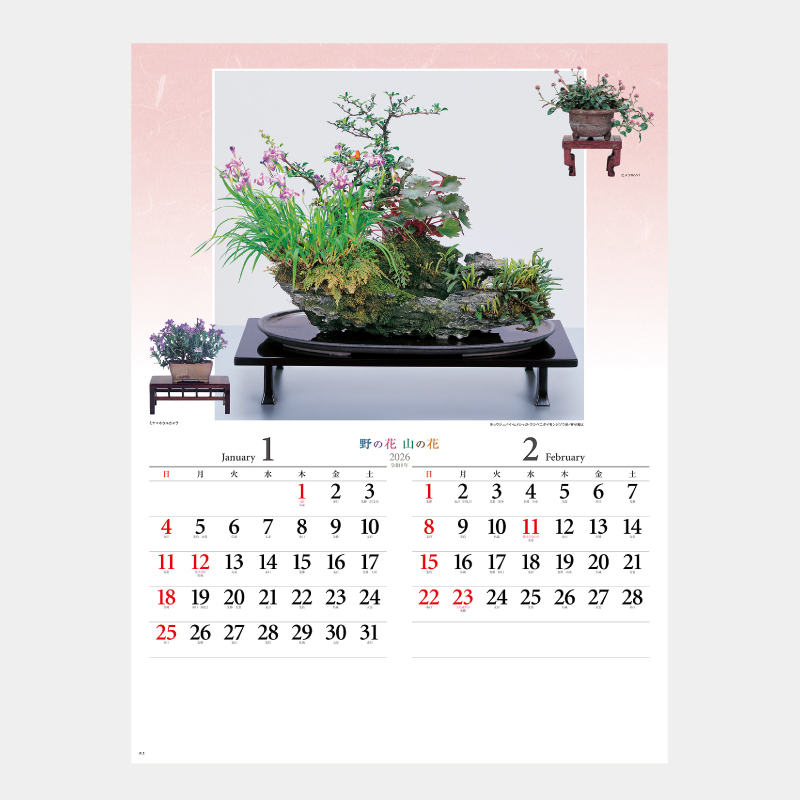  野の花･山の花(山野草盆栽集)  　名入れ壁掛けカレンダー