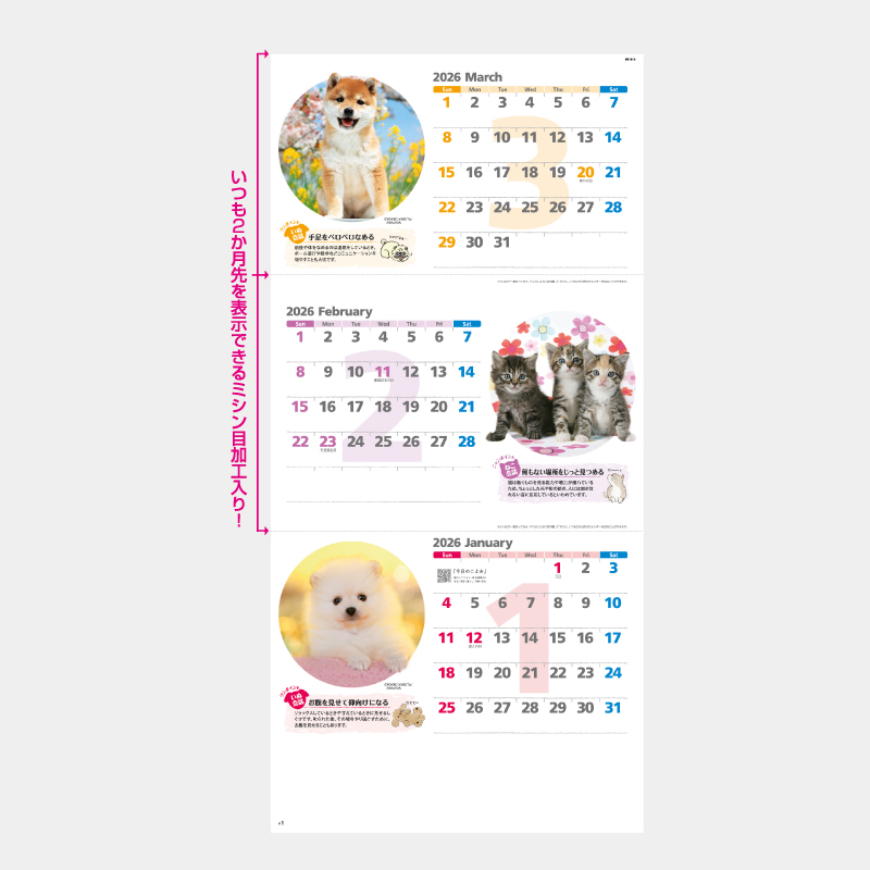 ハッピーチャット－いぬねこことば－　名入れ壁掛けカレンダー