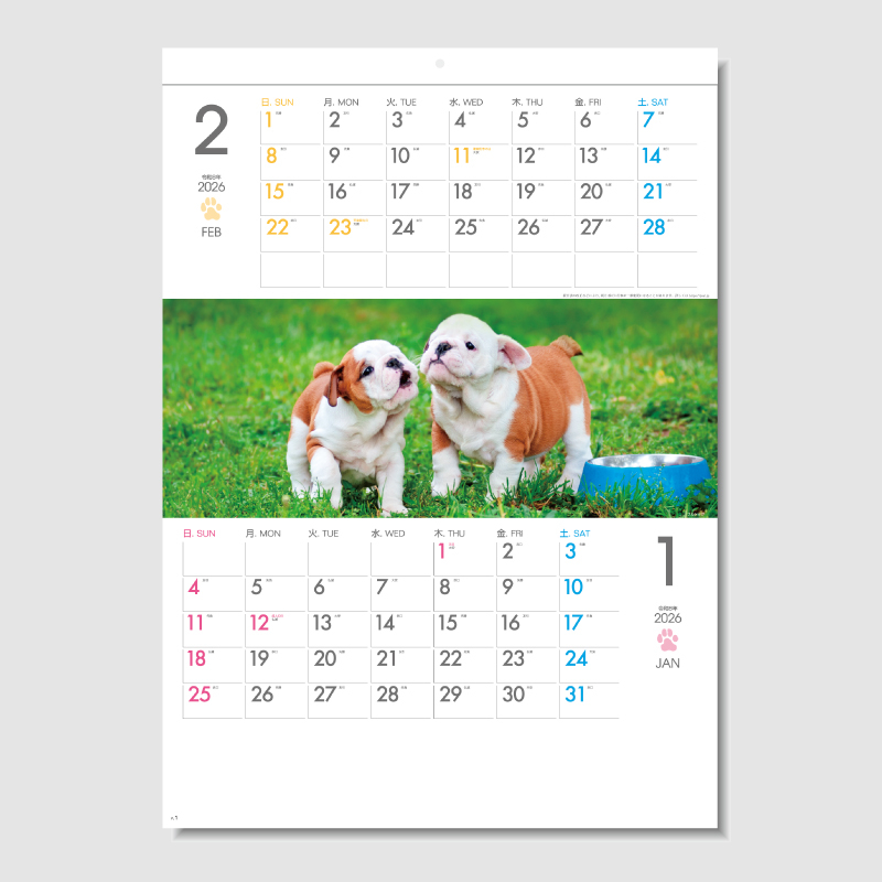 THE DOGS[ミシン目入り]　名入れ壁掛けカレンダー