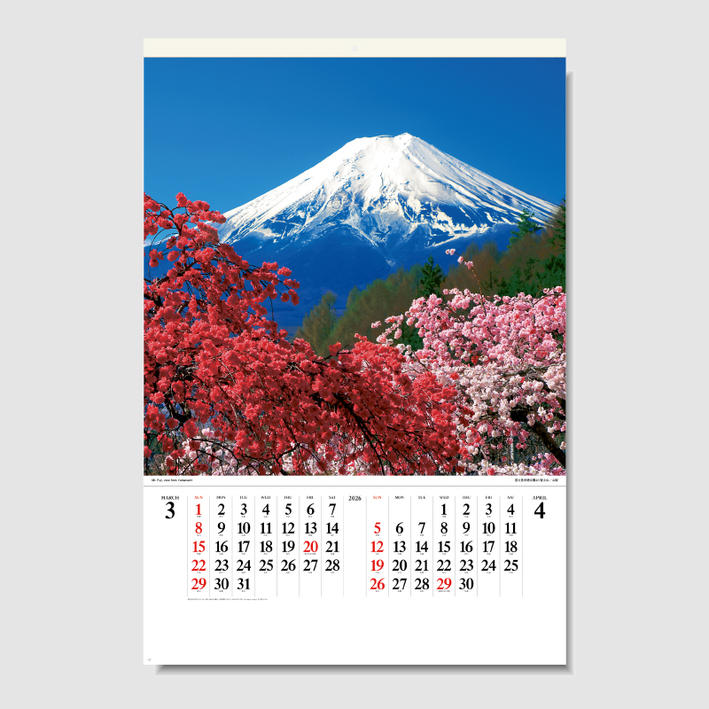 富士山（世界文化遺産）[フィルム] 　名入れ壁掛けカレンダー　