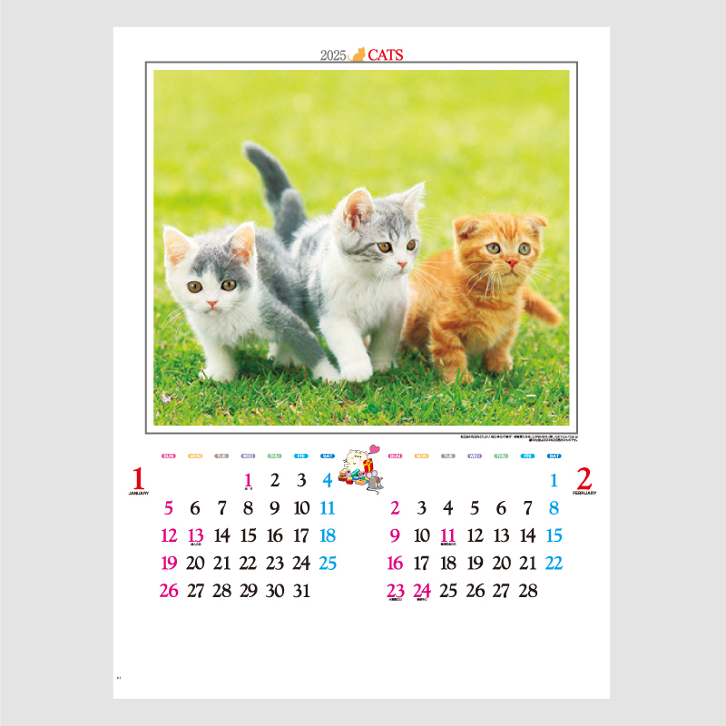 かわいい猫 名入れ壁掛けカレンダー