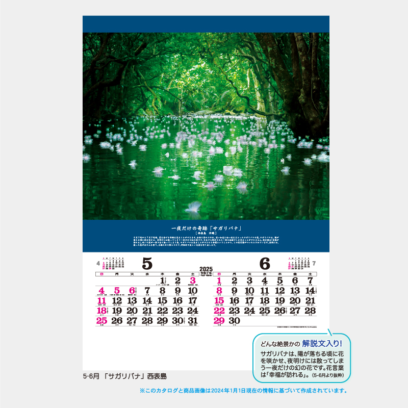 トーハン・DX奇跡の絶景～開運を招く風景～　フイルム   名入れ壁掛けカレンダー
