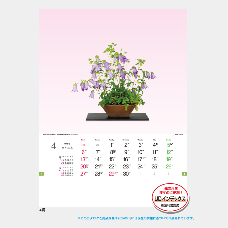 野草盆栽　　名入れ壁掛けカレンダー