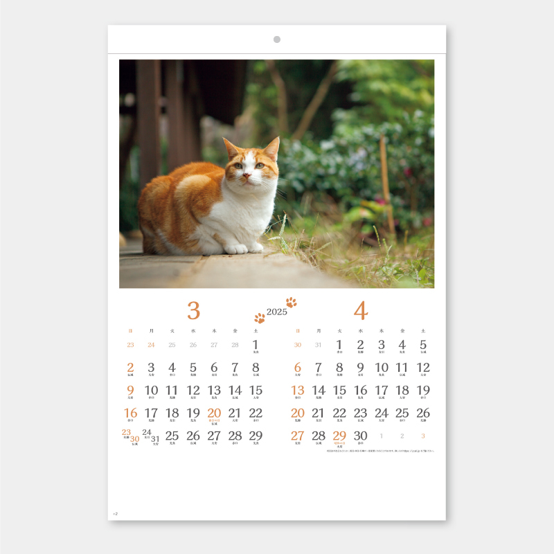 猫さんぽ〔2ヶ月玉〕　 名入れ壁掛けカレンダー