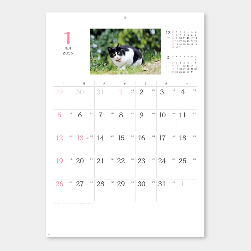 猫さんぽ　 名入れ壁掛けカレンダー