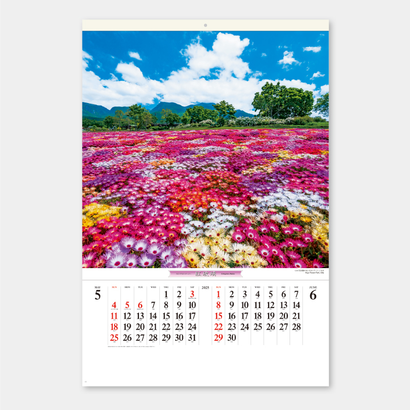花紀行　フィルム　名入れ壁掛けカレンダー