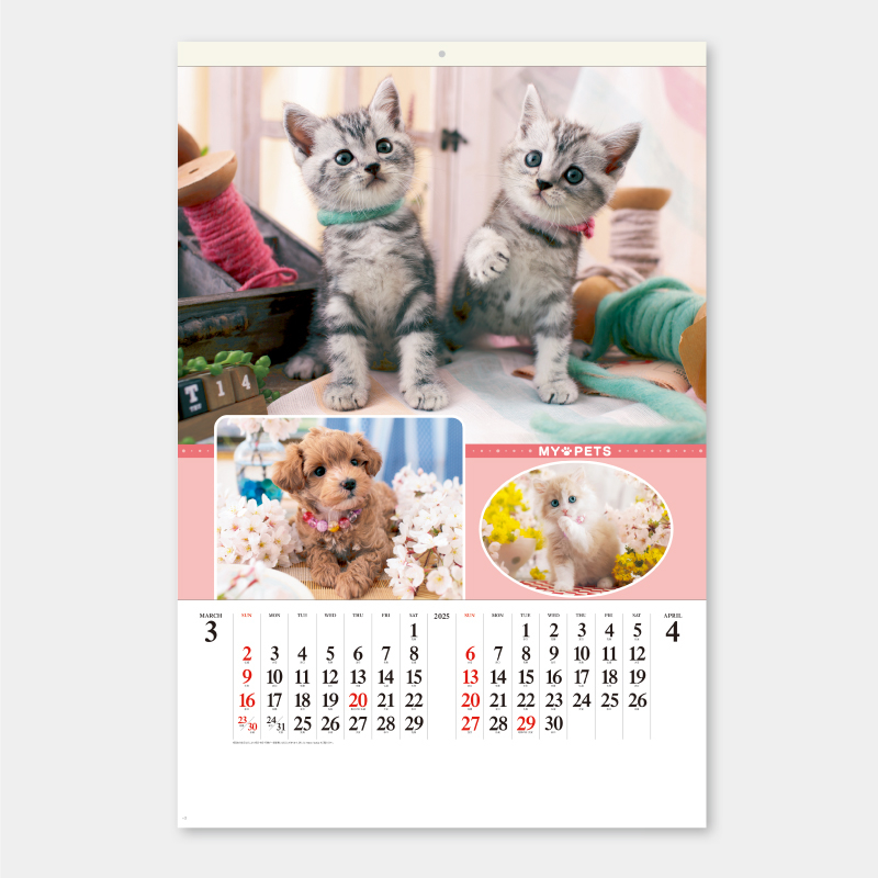 マイペット　フィルム　名入れ壁掛けカレンダー