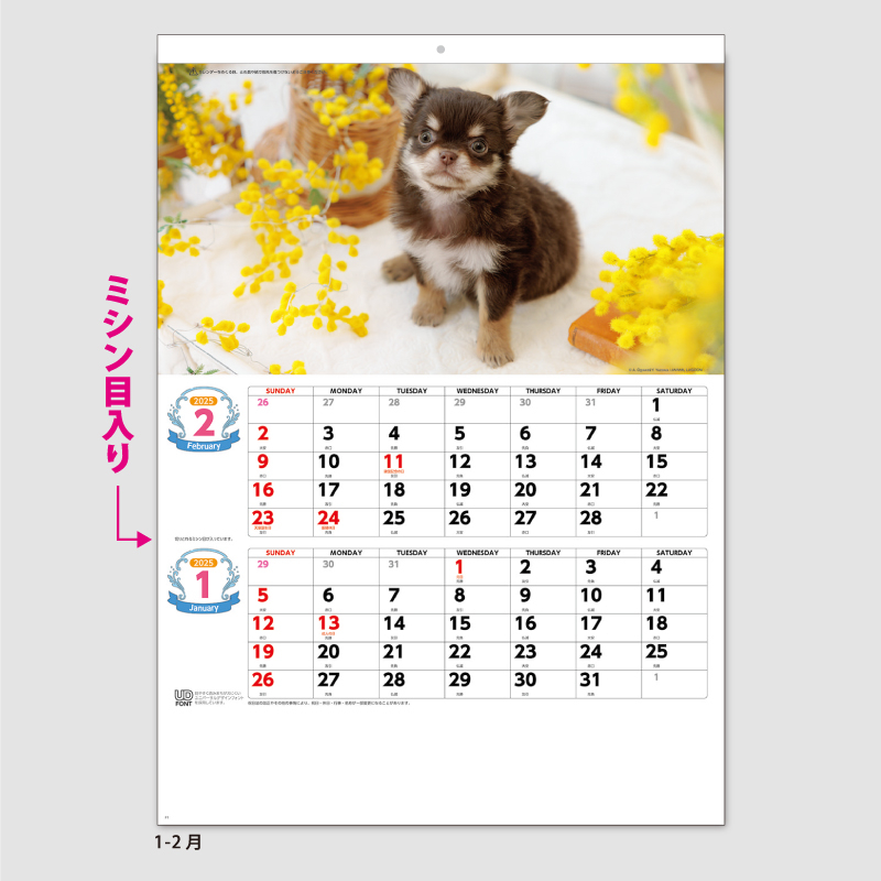 ワンワンスマイル(犬7枚)　名入れ壁掛けカレンダー