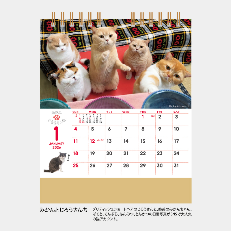 卓上カレンダー　 ねこと生活 みかんとじろうさんち　